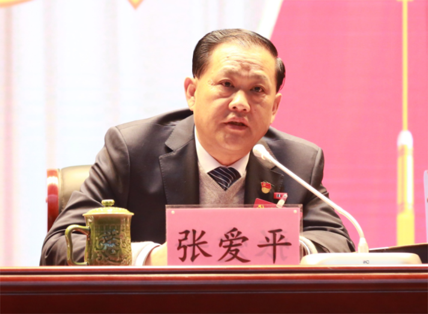 张爱平同志宣读中共问鼎线上平台,问鼎（中国）第一届党委成员分工及纪委成员分工